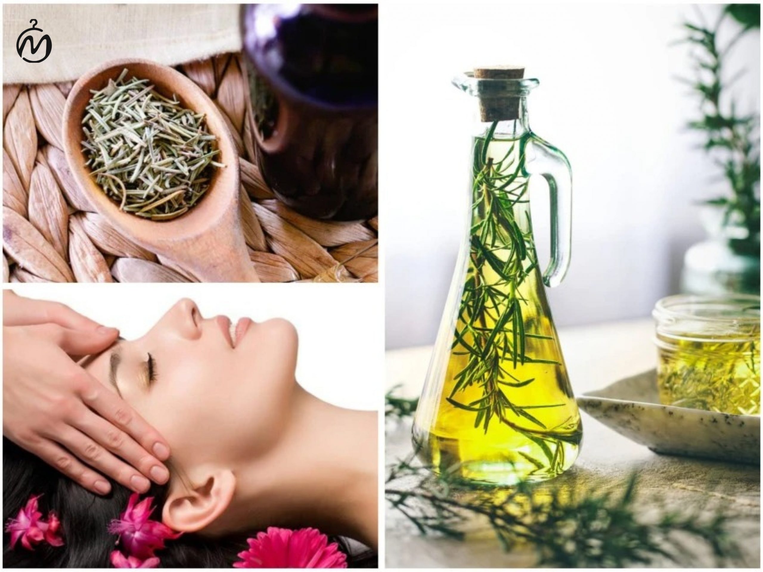 کاربردهای روغن رزماری