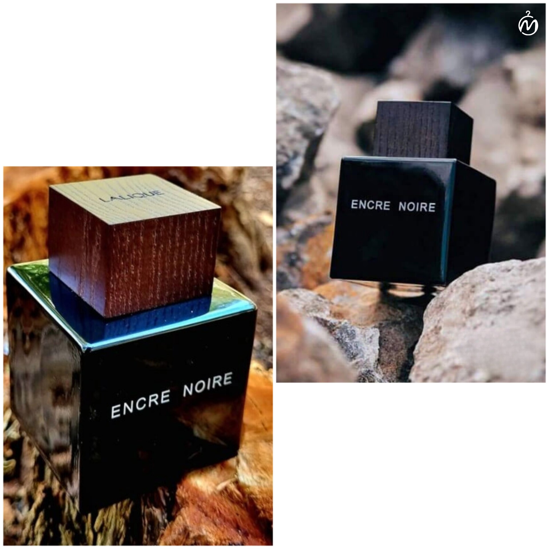 عطر مردانه لالیک انکر نویر