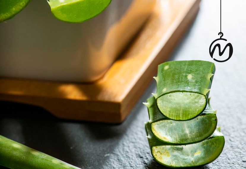 5 خاصیت ژل آلوئه ورا برای موها