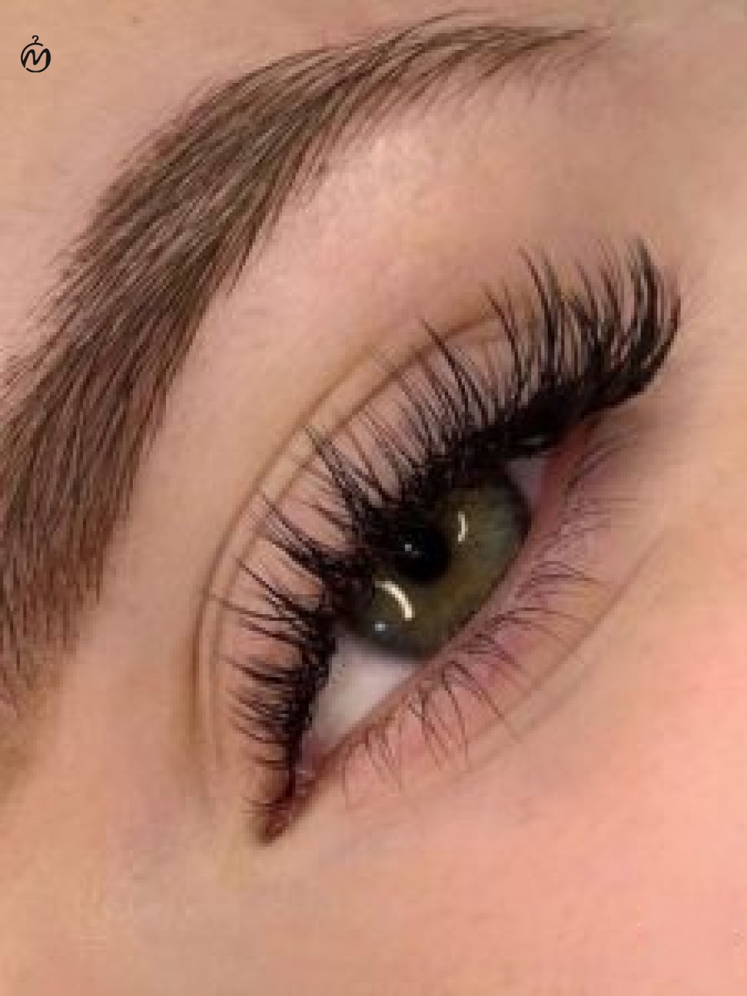 تینت مژه