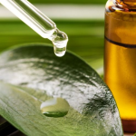 همه چیز درباره روغن درخت چای