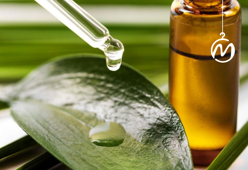 همه چیز درباره روغن درخت چای